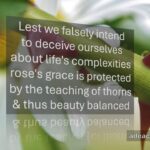 Beauty Balanced