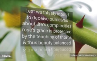 Beauty Balanced