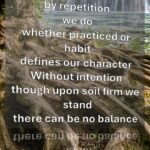 Soil Firm