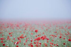 Lest We Forget