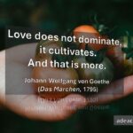 Johann Wolfgang con Goethe (1795)