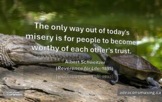 Albert Schweitzer (1895)
