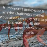 Moments Unexpected