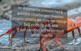 Moments Unexpected
