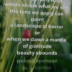Beauty Abounds