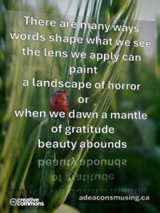 Beauty Abounds