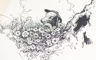Ferdinand