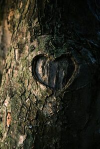 Everlasting