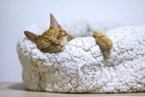 Rested