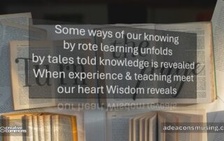 Wisdom Reveals