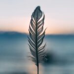 Hope Grounded