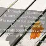 Opportunities Unexpected