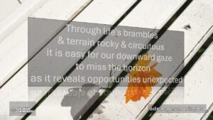 Opportunities Unexpected