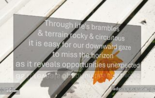 Opportunities Unexpected