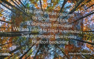 Horizon Beckoning