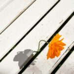 Opportunities Unexpected