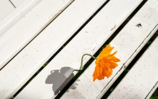 Opportunities Unexpected