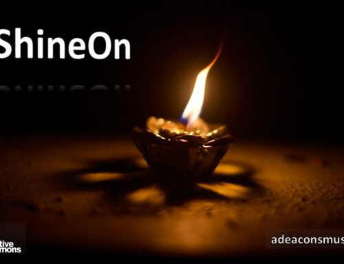 #MicroPoetry|February ’26 Reflections