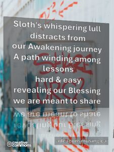 Our Blessing