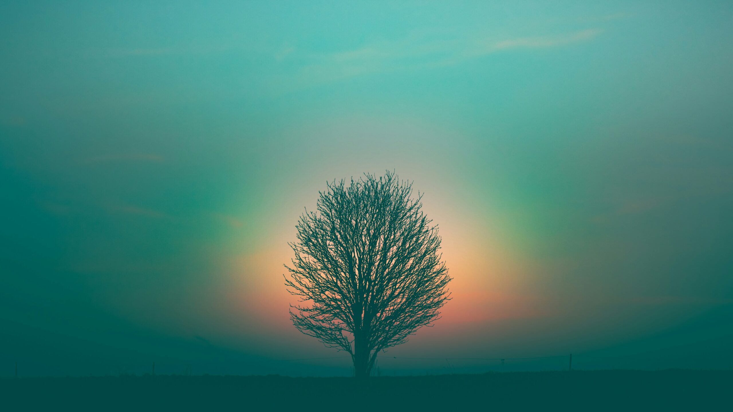 Divine Beauty