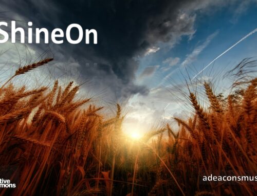 #MicroPoetry|January ’26 Reflections