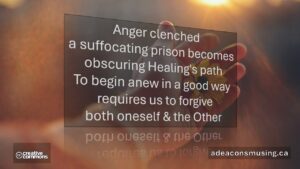 Begin Anew