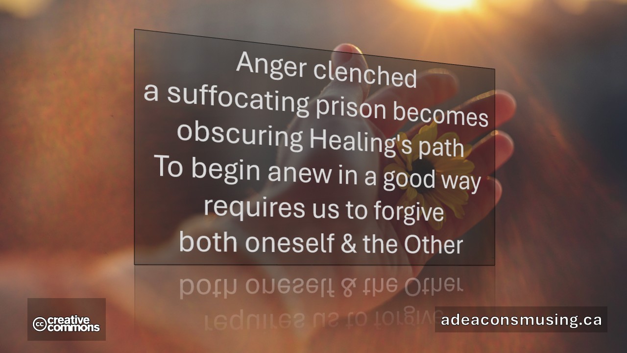 Begin Anew