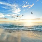 Beauty Awakening