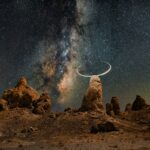 Celestial Divine