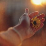 Begin Anew