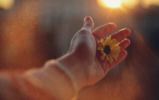 Begin Anew