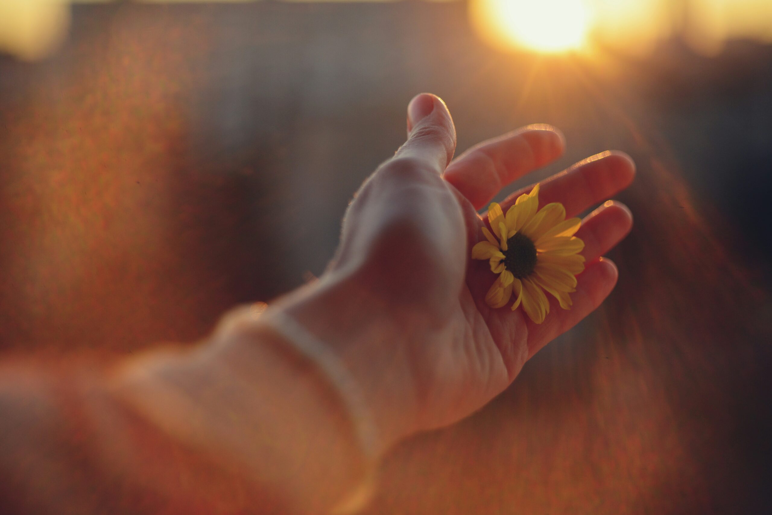 Begin Anew