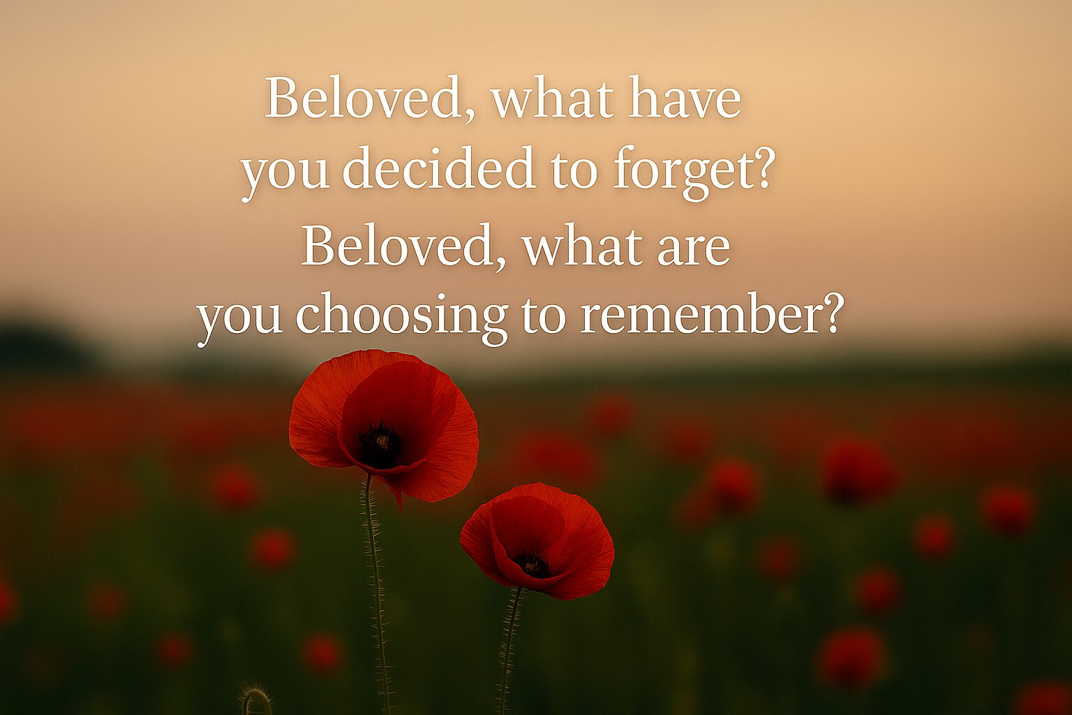 Feature: What Shall We Remember? Forget?