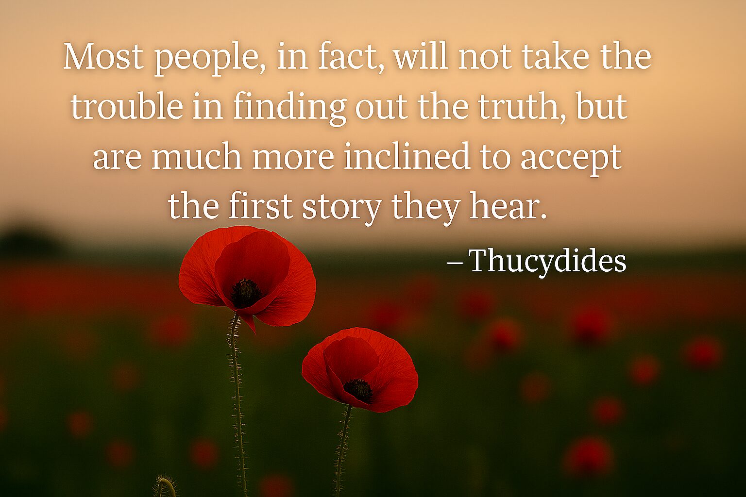 Feature: What Shall We Remember? Forget?