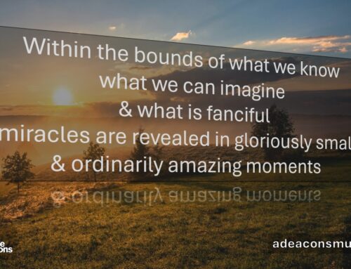 #MicroPoetry|December ’25 Memes