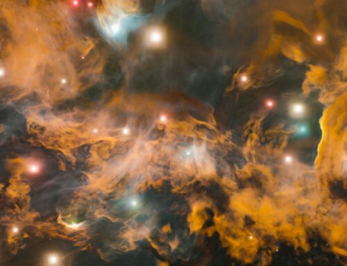 #MicroPoetry|January ’26 Verses