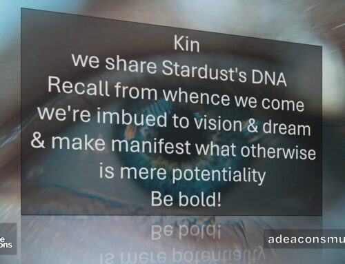 #MicroPoetry|February ’26 Memes