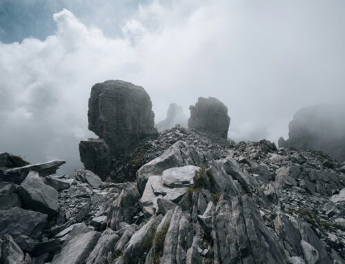 #MicroPoetry|February ’26 Verses