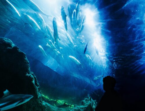 #MicroPoetry|March ’26 Verses