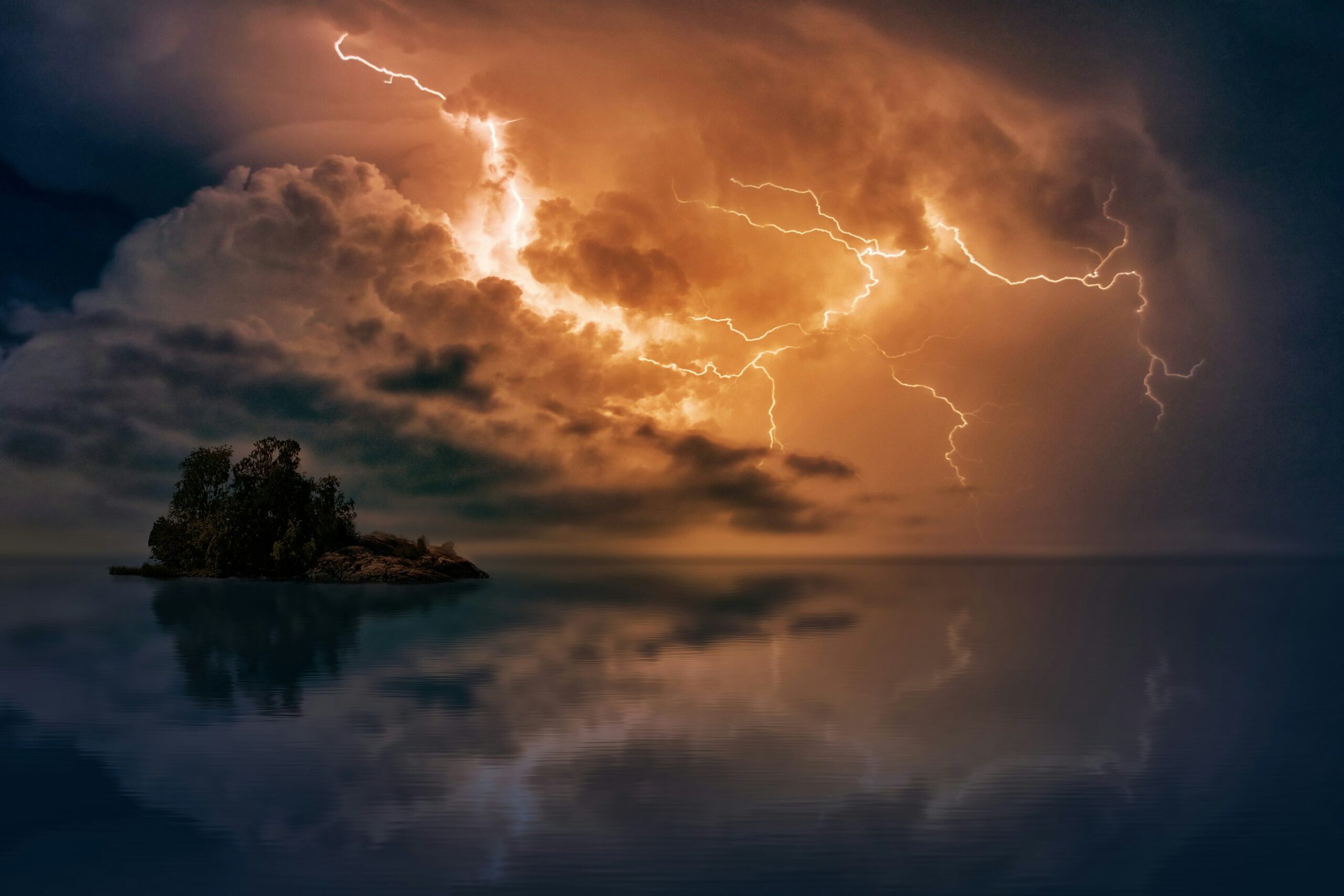 Thorns & Thunder