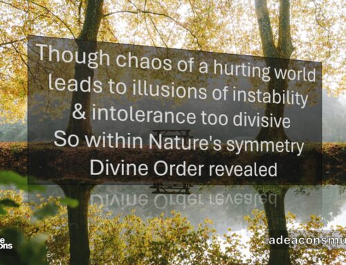 #MicroPoetry|May ’26 Memes